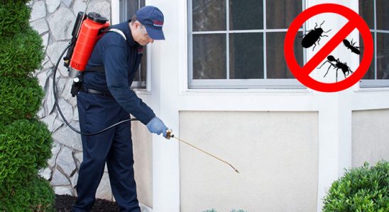 Sarıoğlan Kemirgen İlaçlama böcek ilaçlama ve haşere kontrolü — ilaclama-tr.com